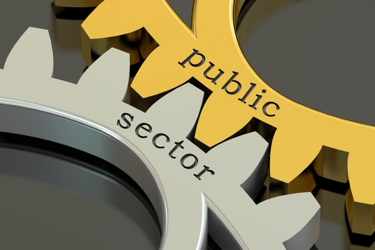 English for the Public Sector